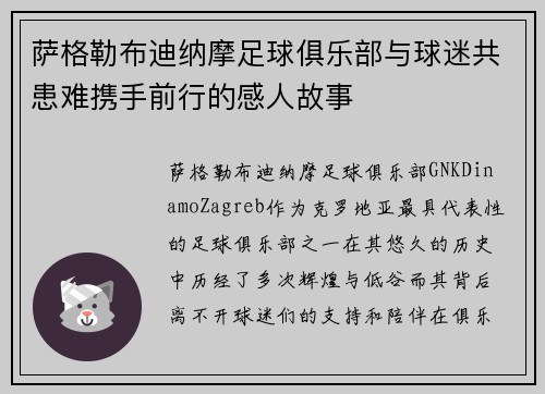萨格勒布迪纳摩足球俱乐部与球迷共患难携手前行的感人故事